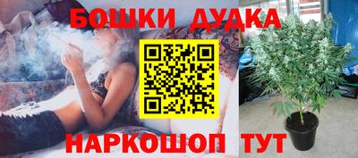 каннабис Дубна