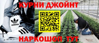 каннабис Дубна