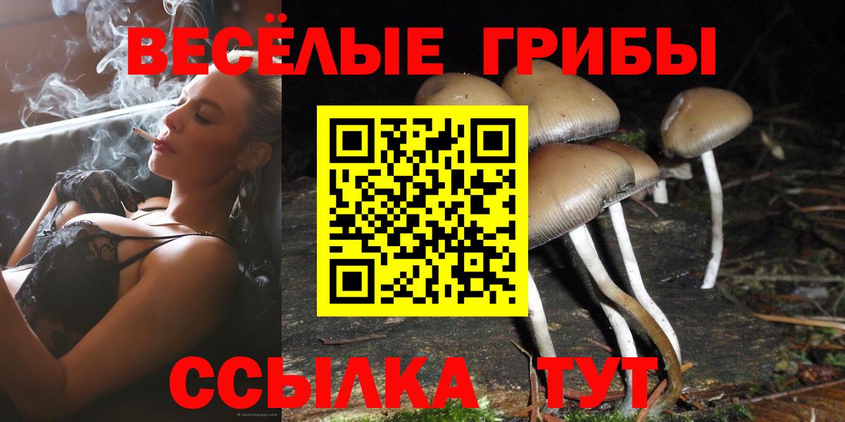 Псилоцибиновые грибы прущие грибы Родники
