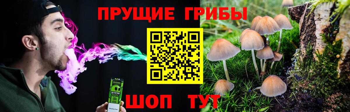 Родники  Псилоцибиновые грибы прущие грибы  Вход с VPN 